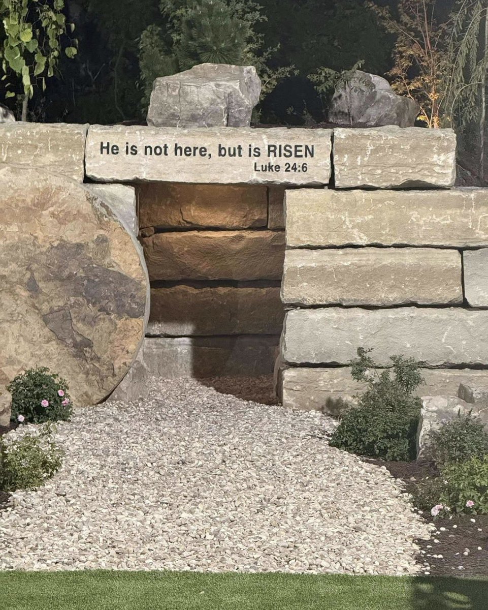 Amber Apinions tweet media