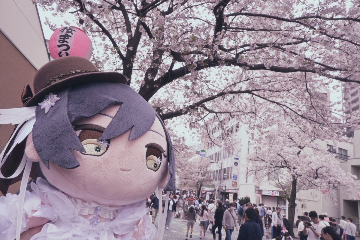 アパッチ(仮) tweet media