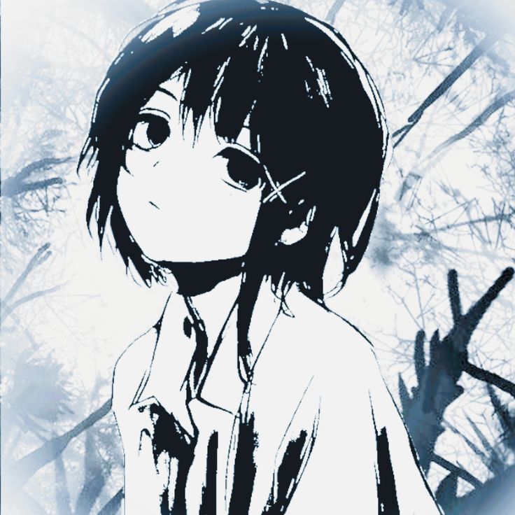 Vaness 𝝅 tweet media