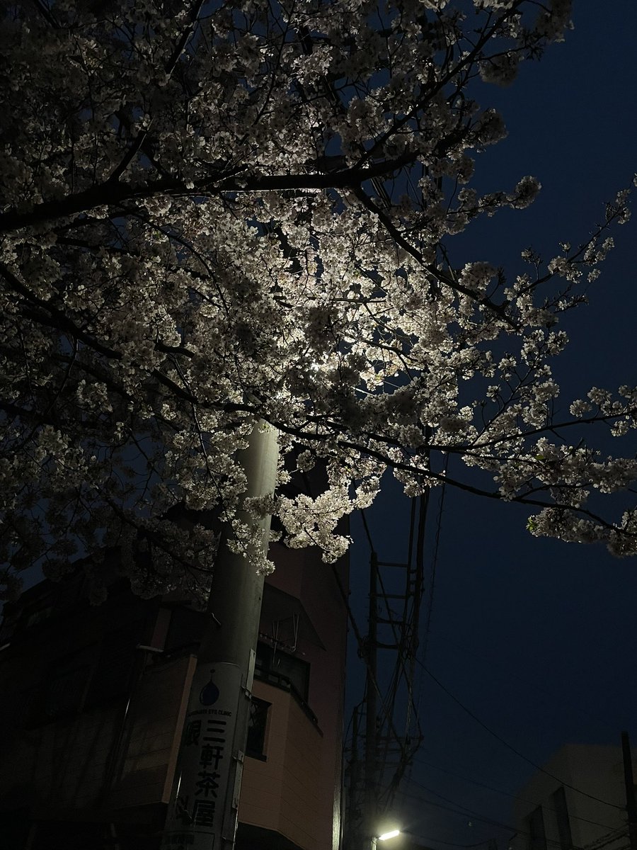 喫サウナー tweet media