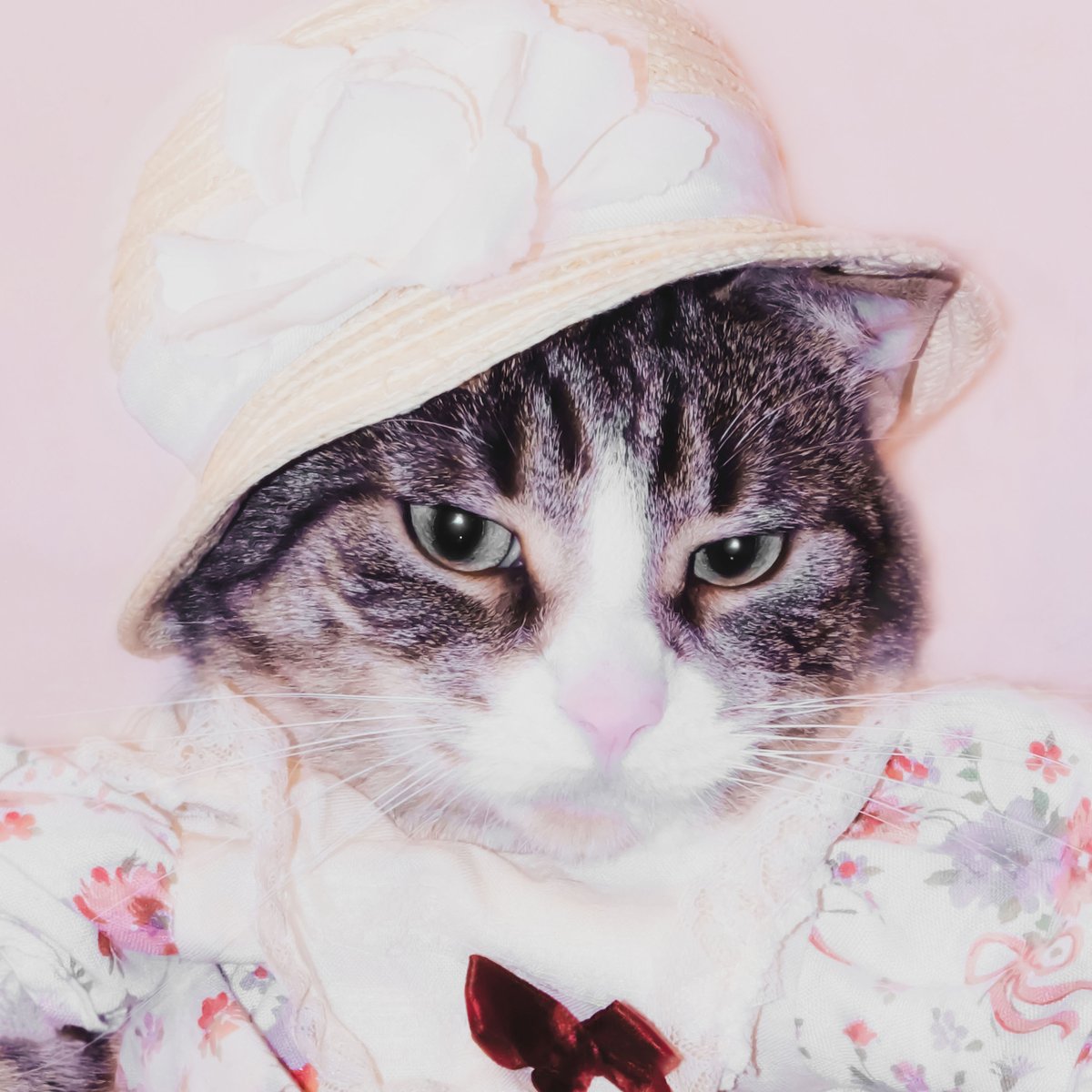 PERSONA_ARTIST's tweet image. Happy Easter from Stella!  

#Stella #cat #Easter #HappyEaster