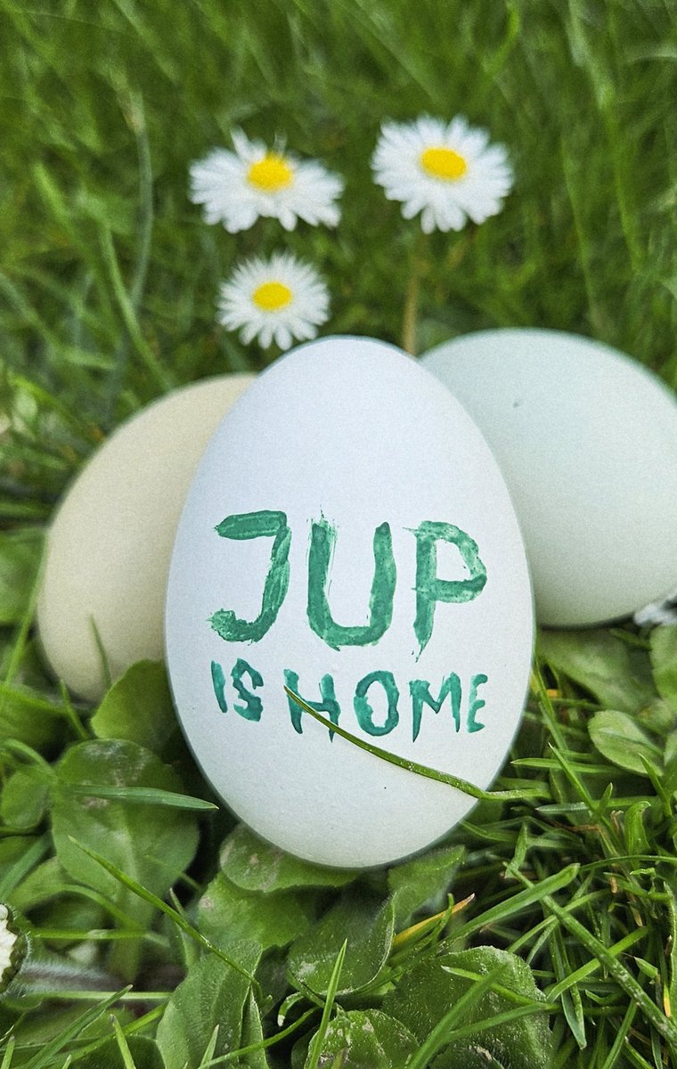 Lost 🎯 tweet media