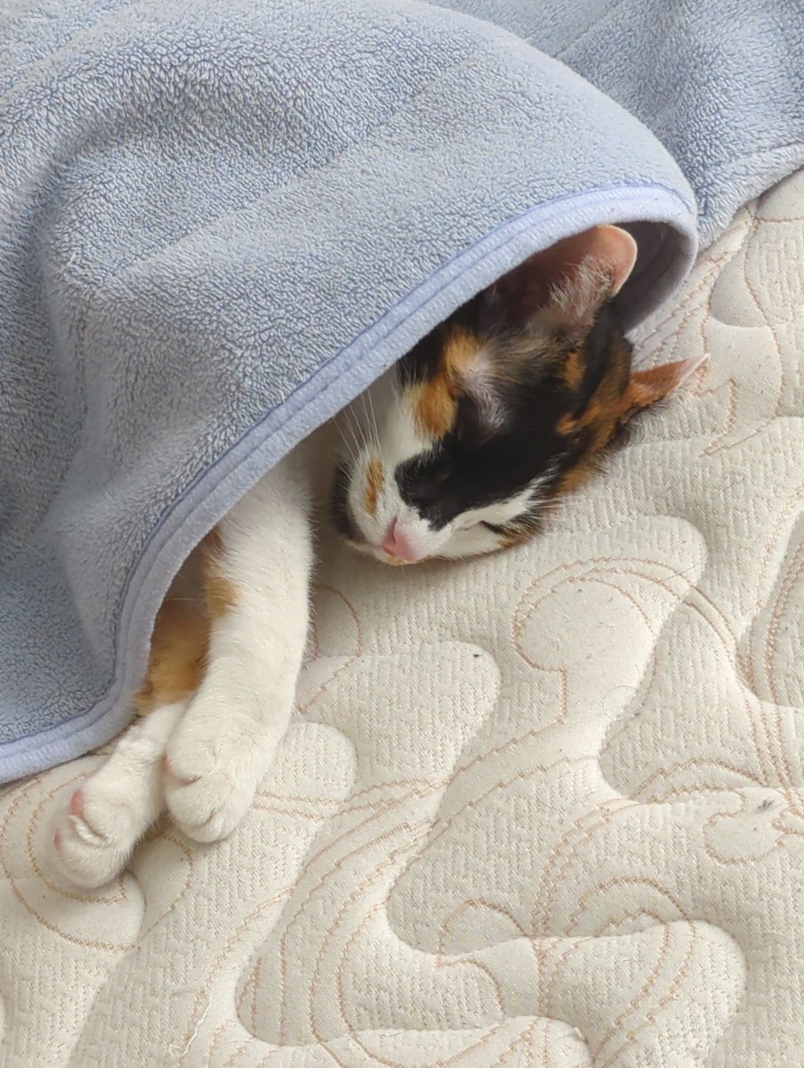 Yuu Jinnai tweet media