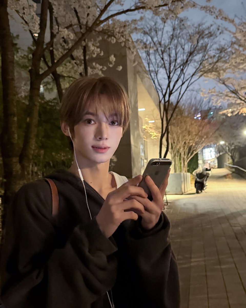 Din🐈⬛ tweet media