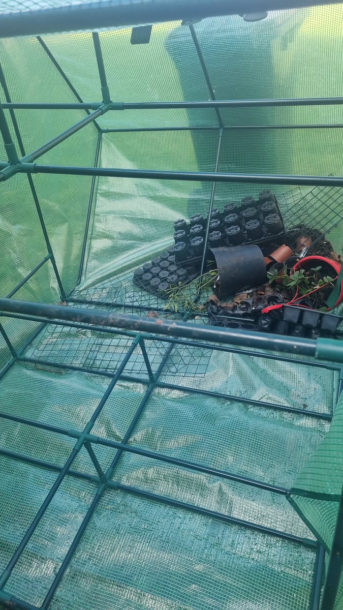 ⚫Martin tweet media