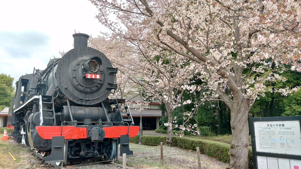 きらくやまさくら祭にお越し頂いた皆様、有り難うございました！
毎年少しずつではありますが、修繕が進んでおります。
来年の春には、更に綺麗になったプレニをご覧に入れられる様、奮励努力して参りますので、よろしくお願いいたします！