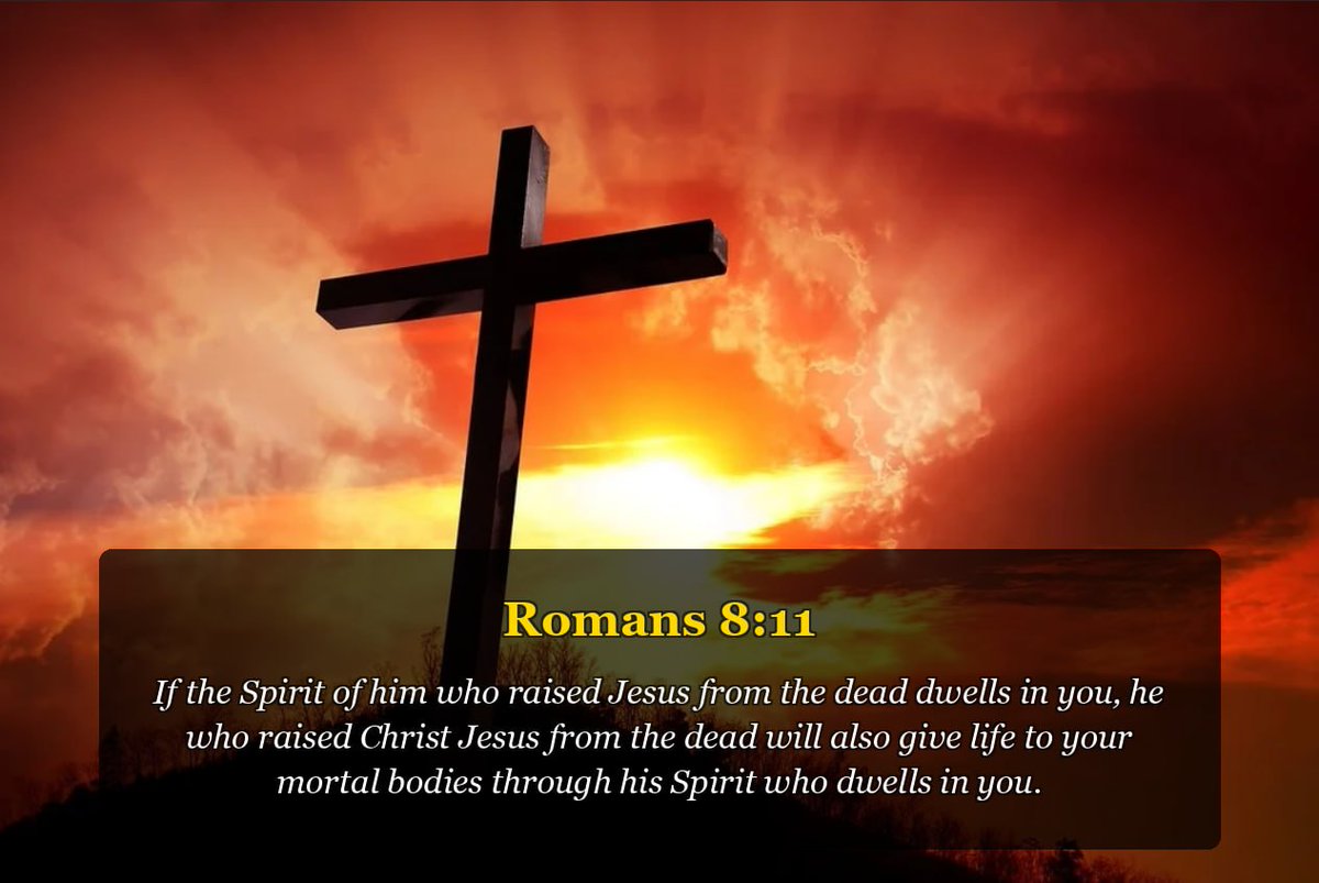 Michael ❤️✝️🇺🇸 tweet media