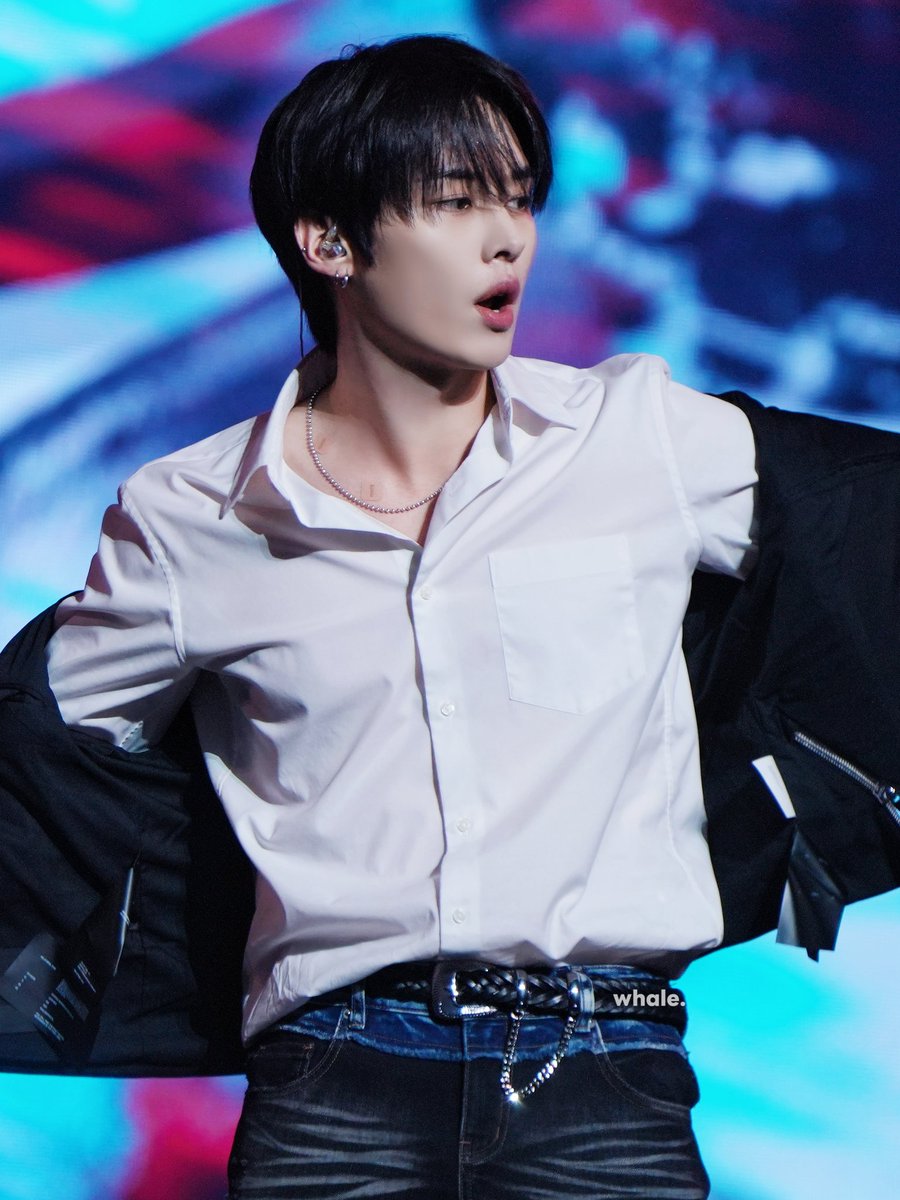 𝙬𝙝𝙖𝙡𝙚. tweet media