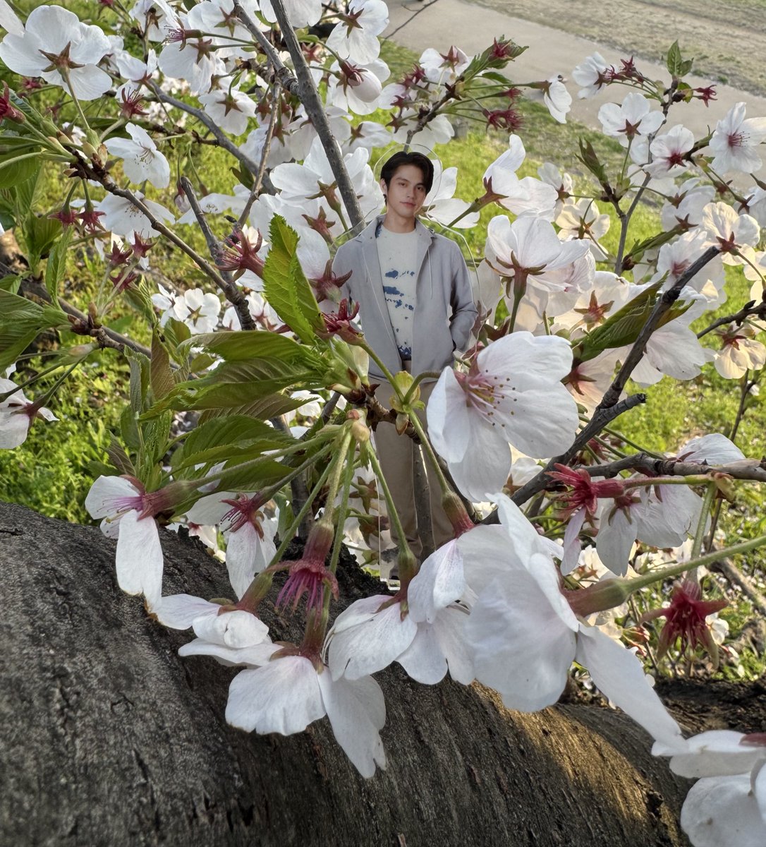 𝗍𝖺𝗆𝖺𝗄𝗈🎌 tweet media