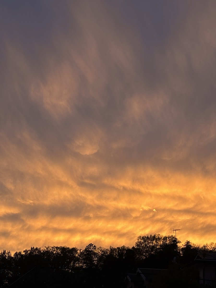 Chœur Échelle 渉外担当T@水のいのち tweet media