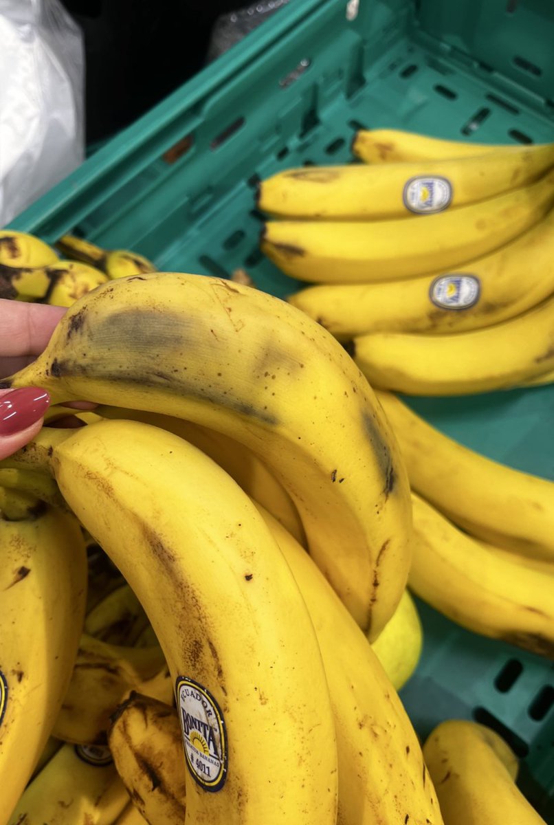 Gıda Dedektifi tweet media