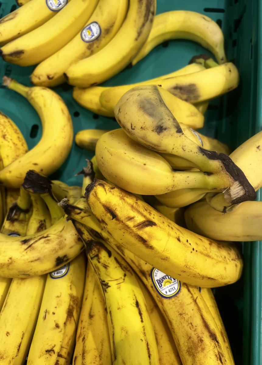 Gıda Dedektifi tweet media