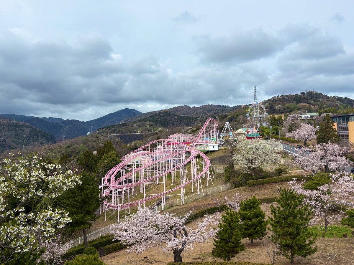 宇佐美友紀🎙️ tweet media