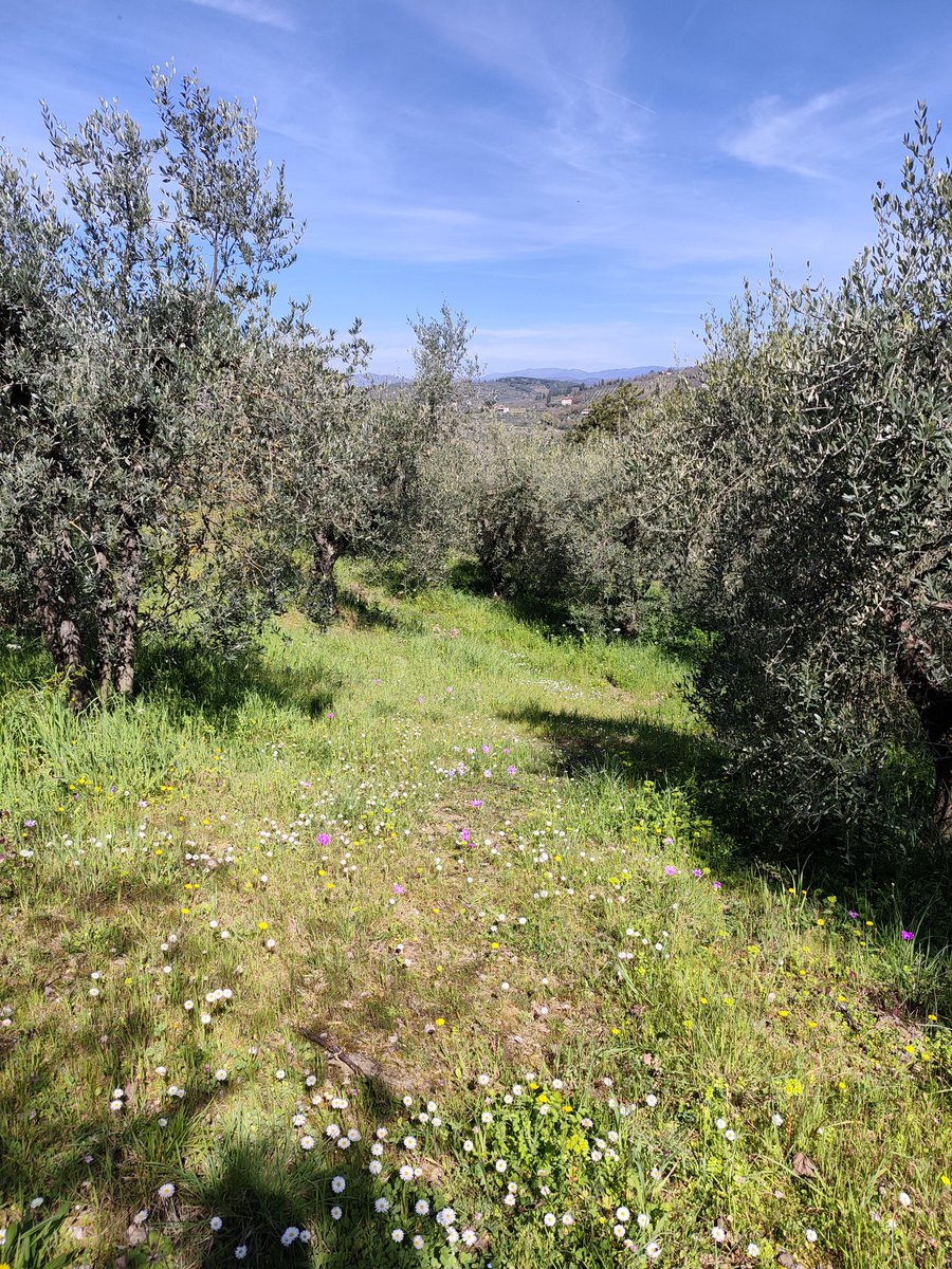 Pietro Gatto tweet media