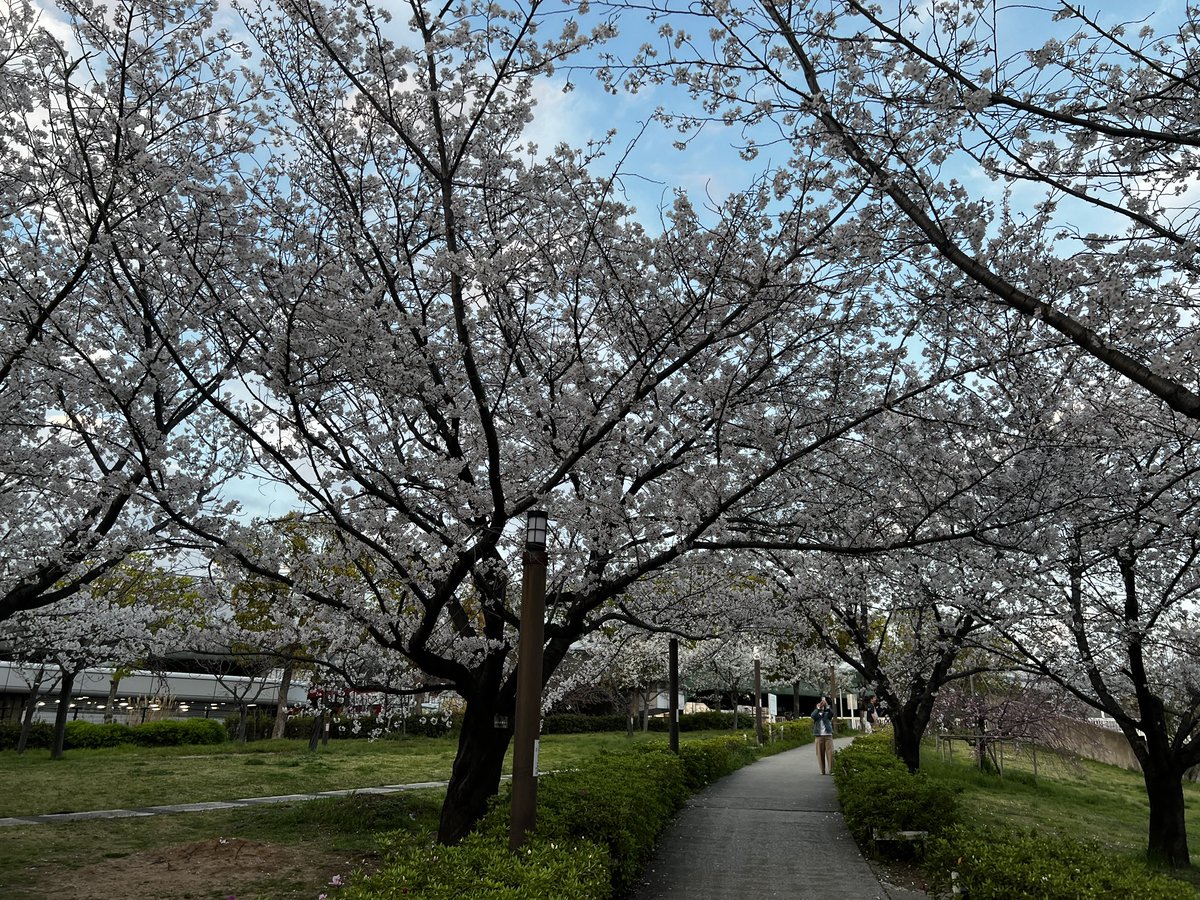 SAMMY⭐️lyricist composer　3月20日新曲「卒業」リリース tweet media