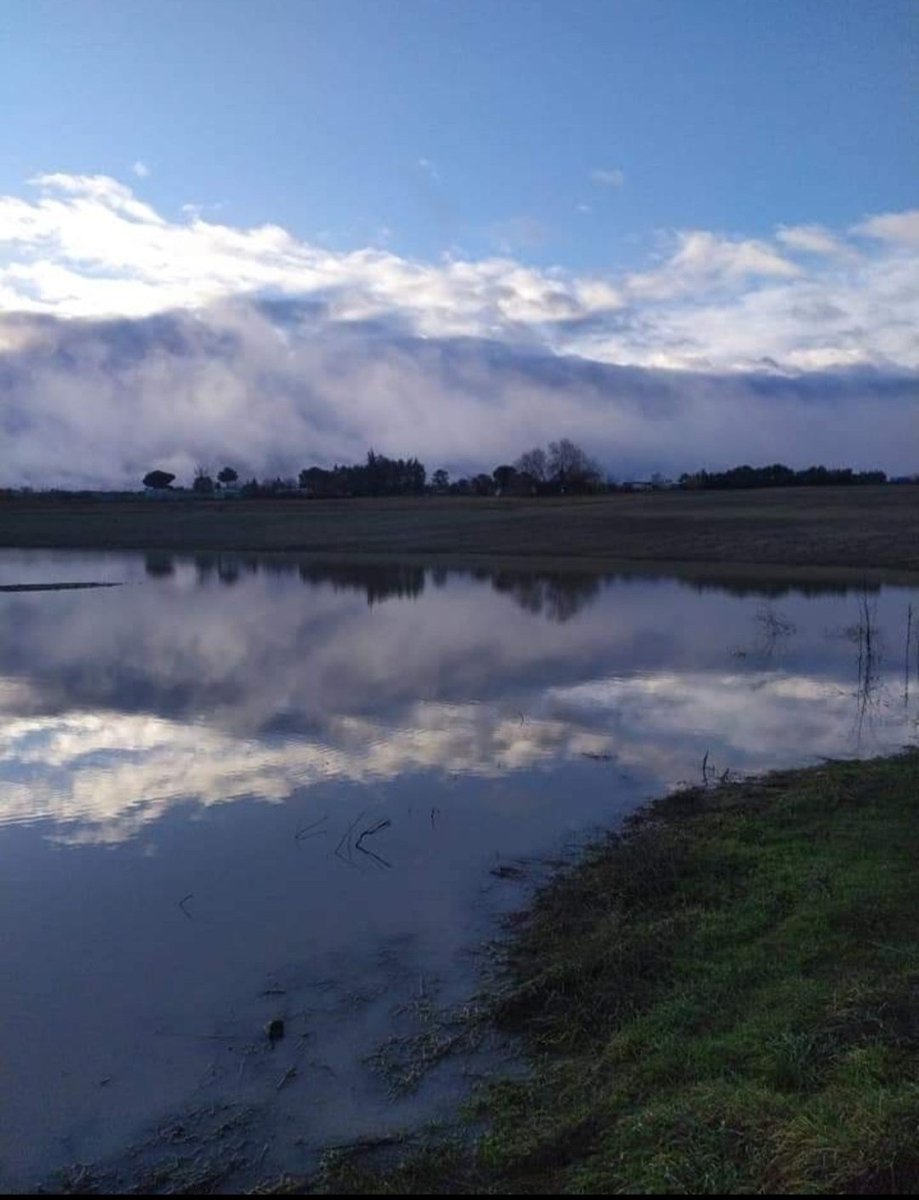 Ramon Blom 🇪🇸🌻🕉️ tweet media