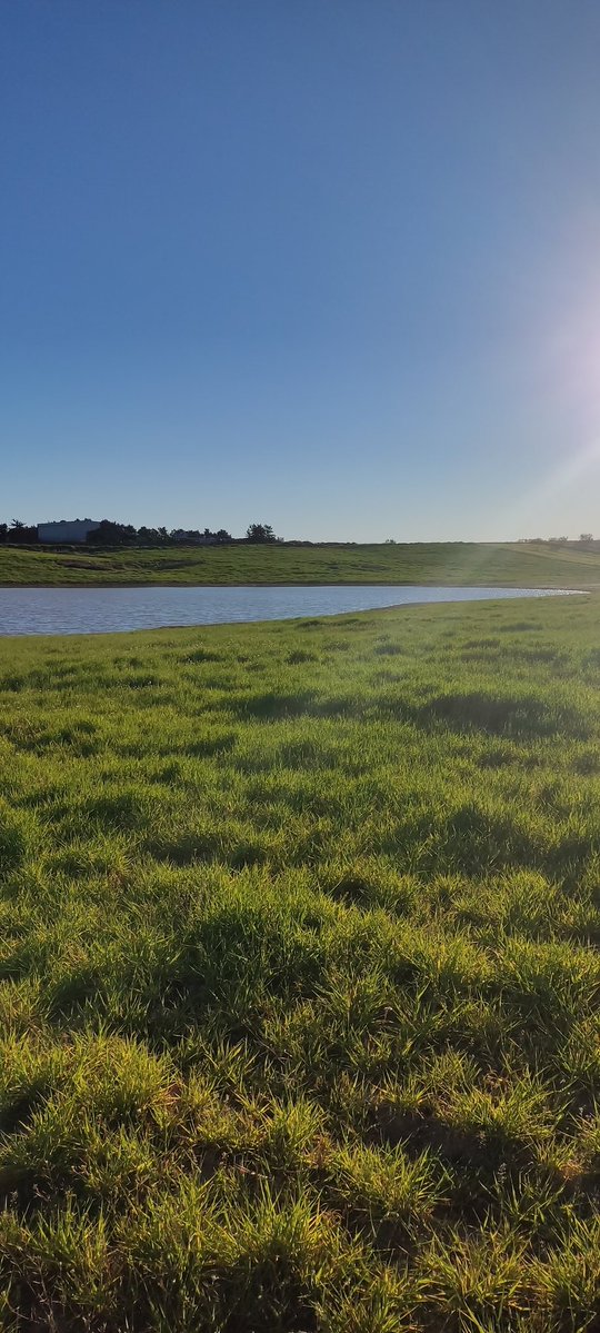 Ramon Blom 🇪🇸🌻🕉️ tweet media