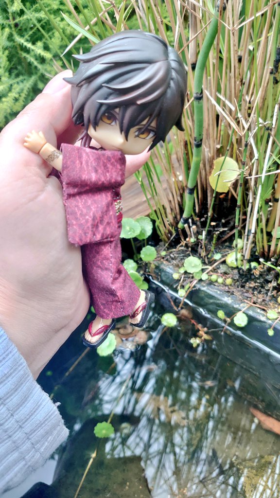 りゅうむ🦔🪡4.19アイドール大阪 tweet media