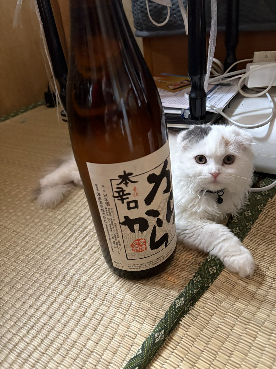 ミルケ·もなか tweet media