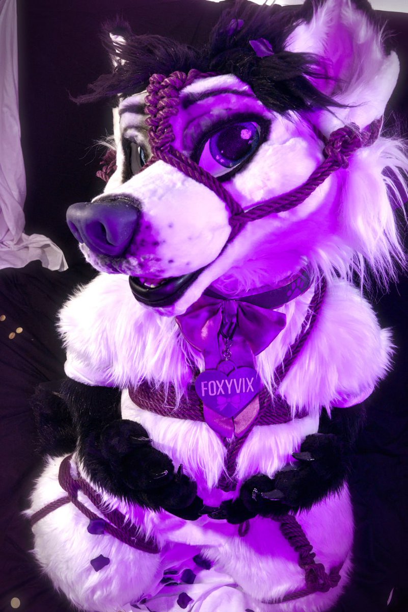 💜Foxyvix💜 tweet media