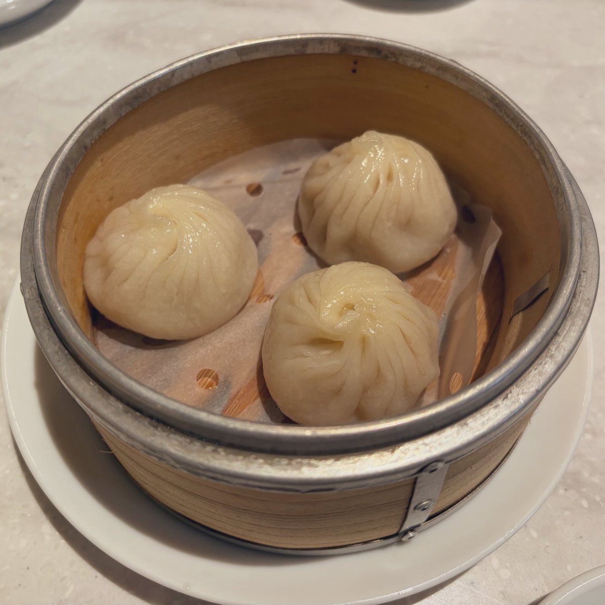 めがねこ tweet media