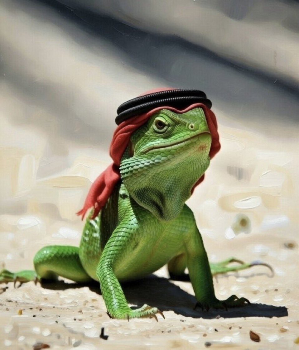 mustafa moh⭐️⚡️ tweet media