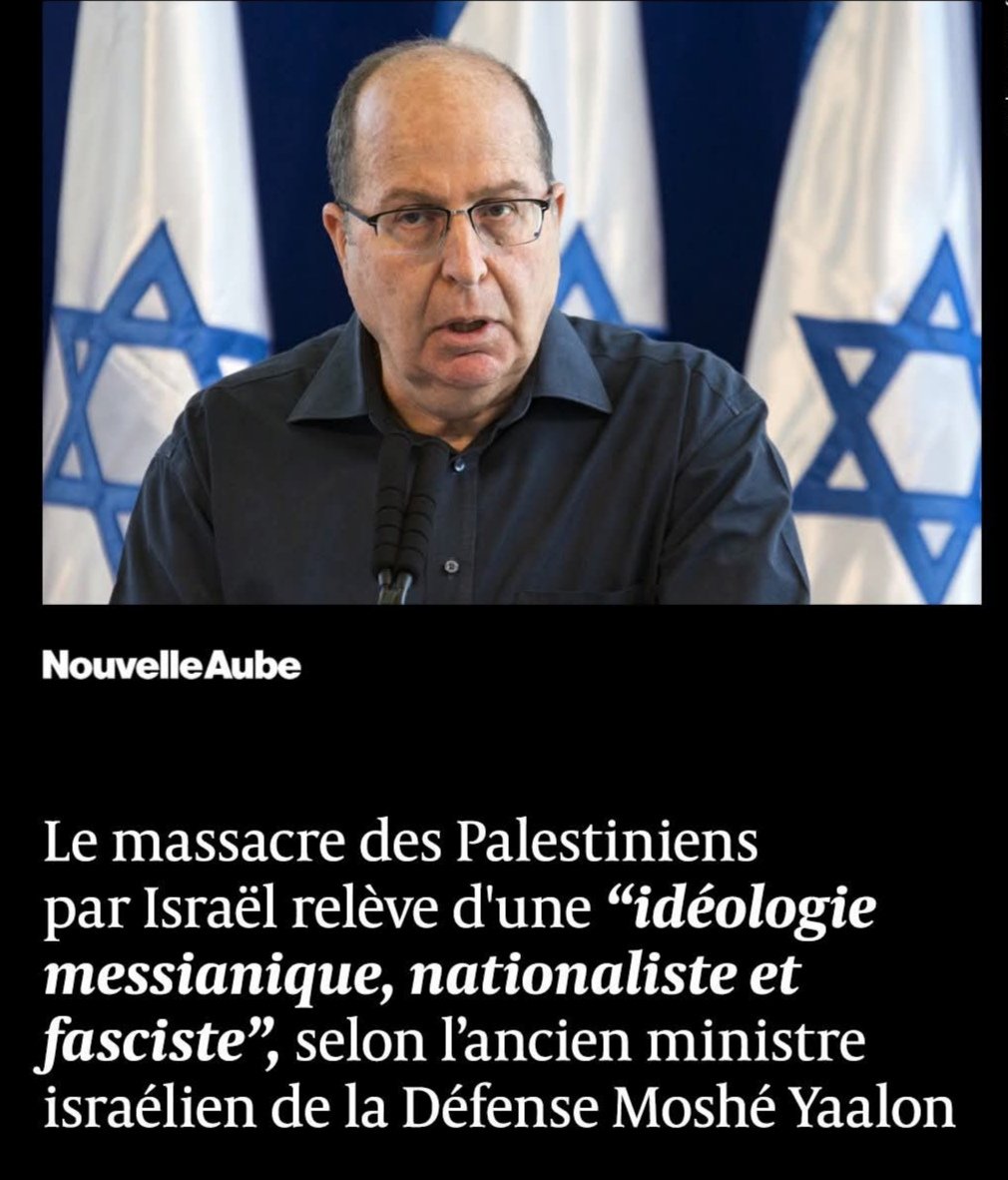 Targui🌴 tweet media