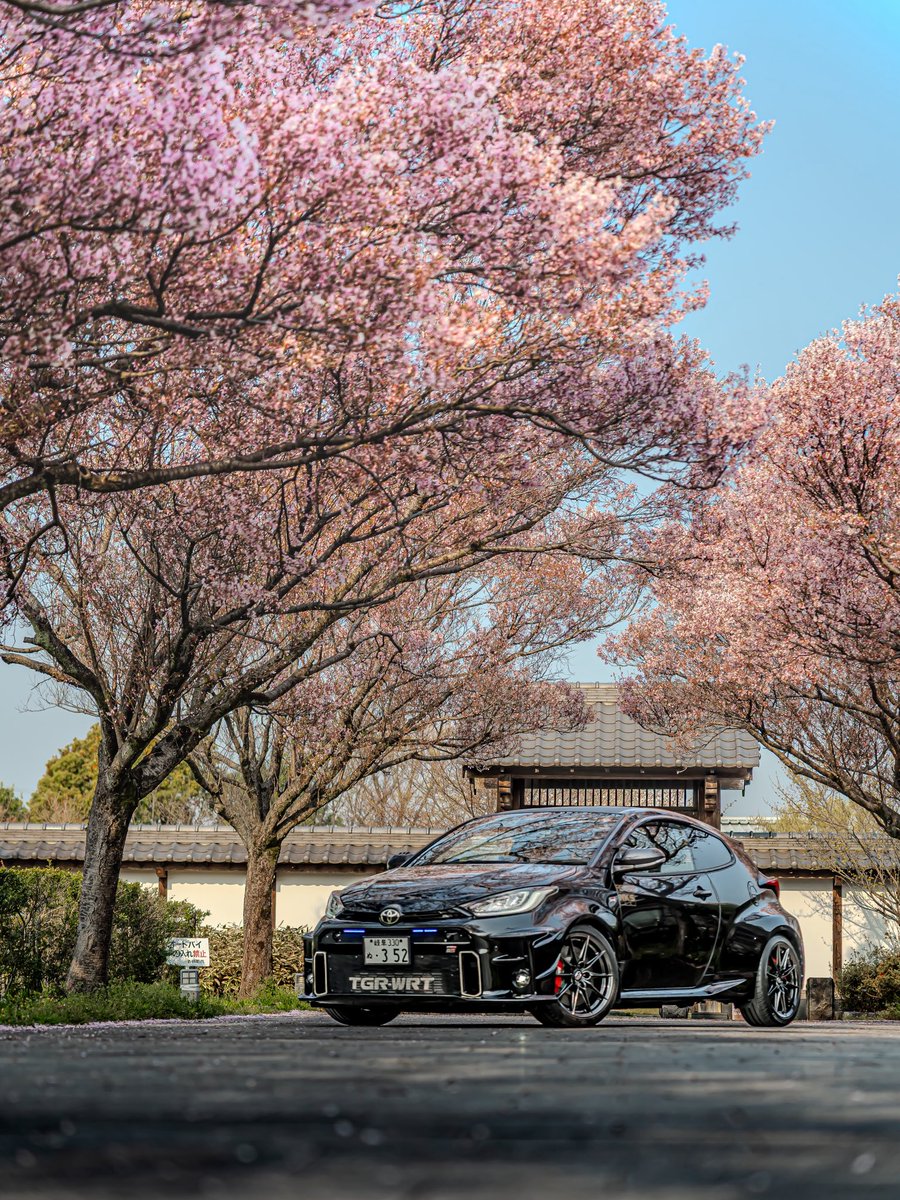 か〜き〜 tweet media