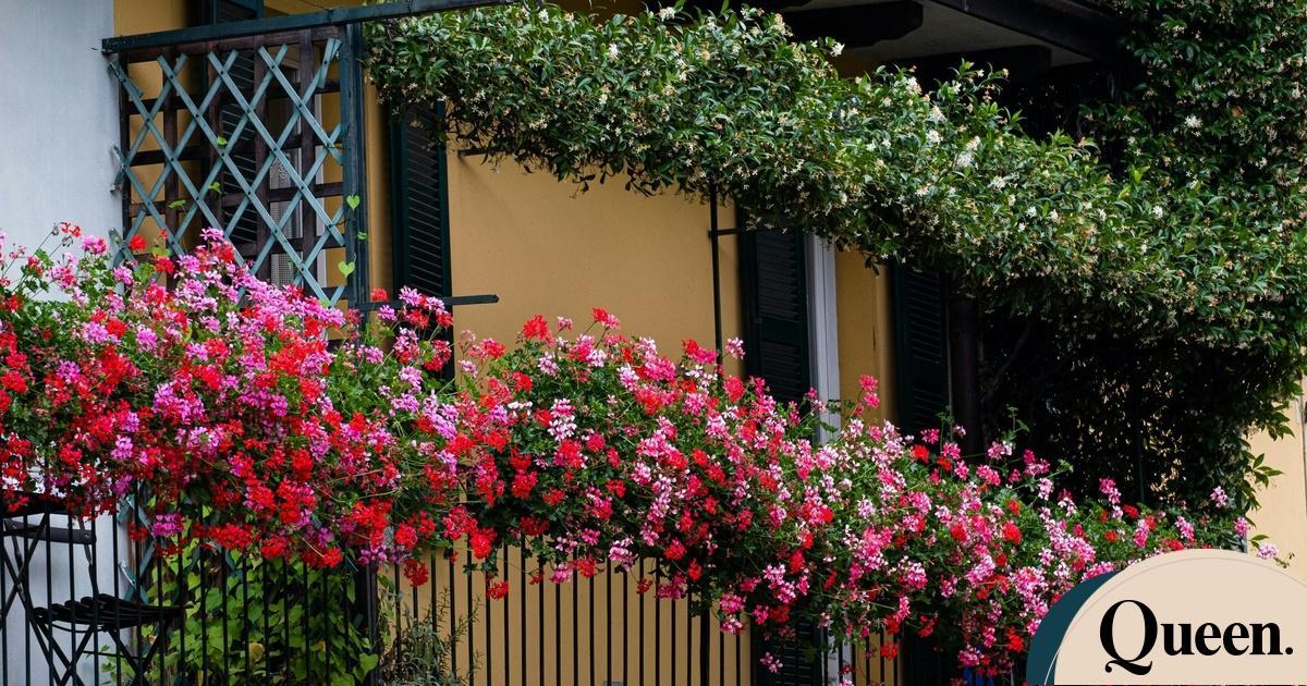 Queen.gr tweet media