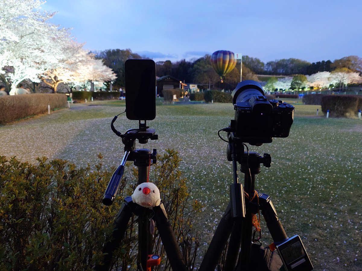 dsokina's tweet photo. 今日はここから！
04/05土　（順延）花見で花火2026
中井町中央公園 19:00～19:20
#湘南花火 https://t.co/KHrV7uEgqZ