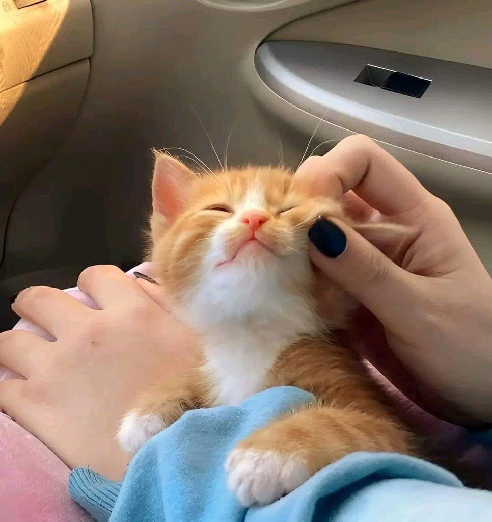 น้องเถียน ft.แดงจรัส ❤️‍🔥 tweet media