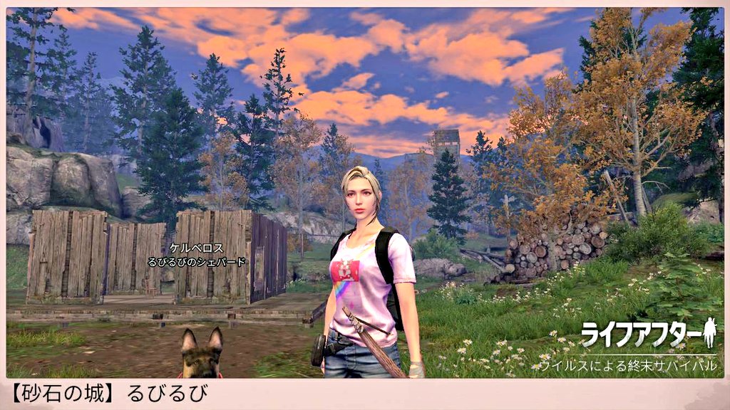 るびるび tweet media