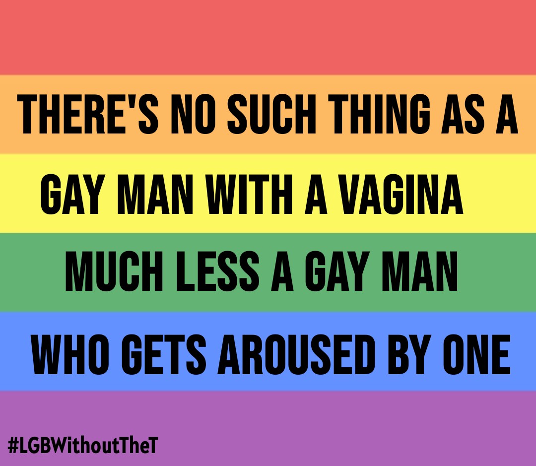 "T-fags" are just straight women with a disgusting fetish for gay men.