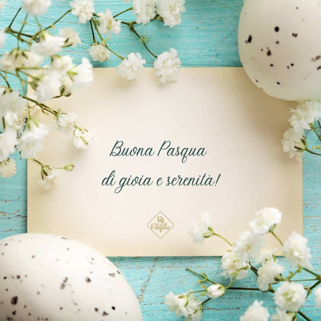 AlmiraUva tweet media