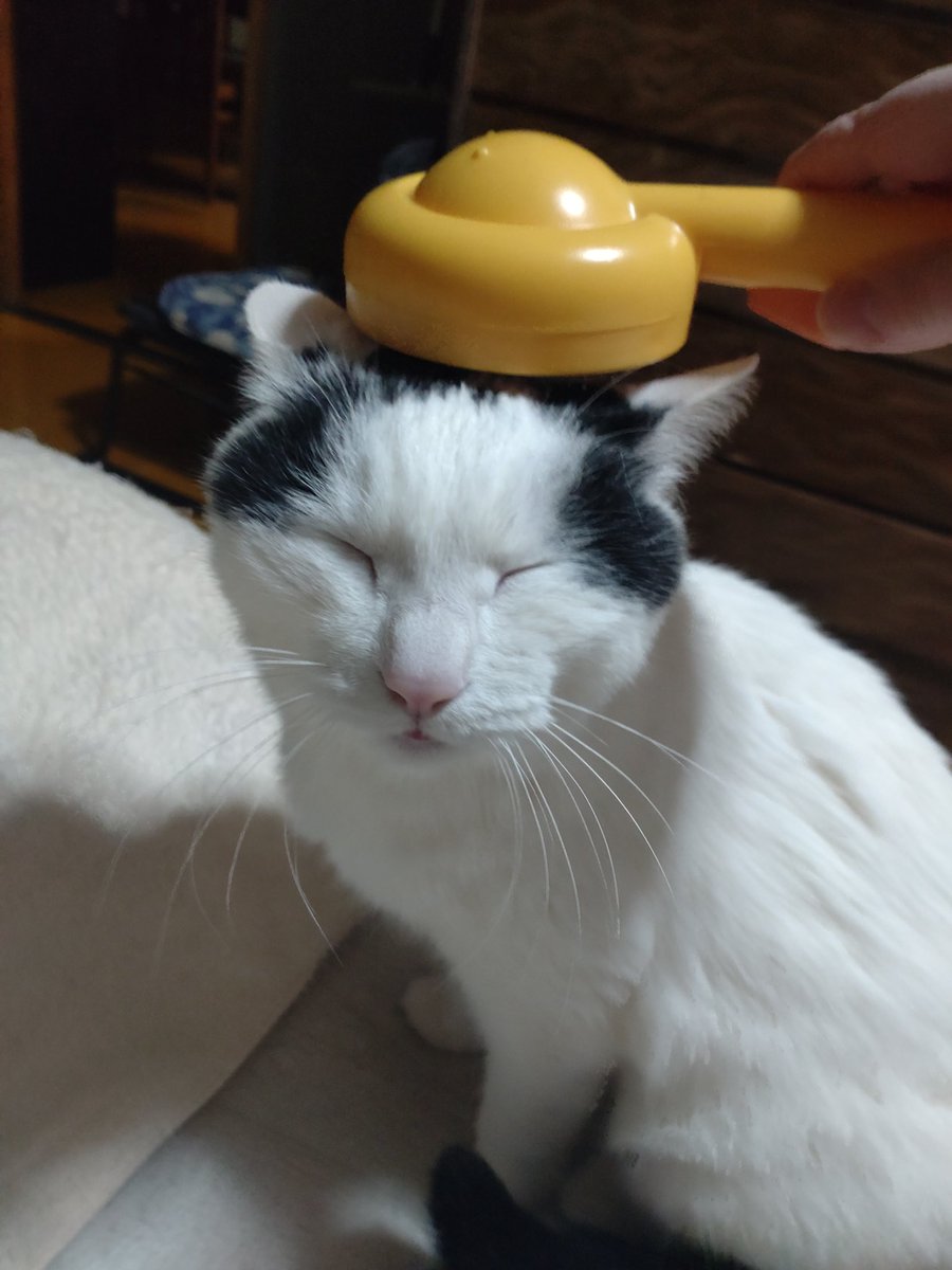 もなか tweet media