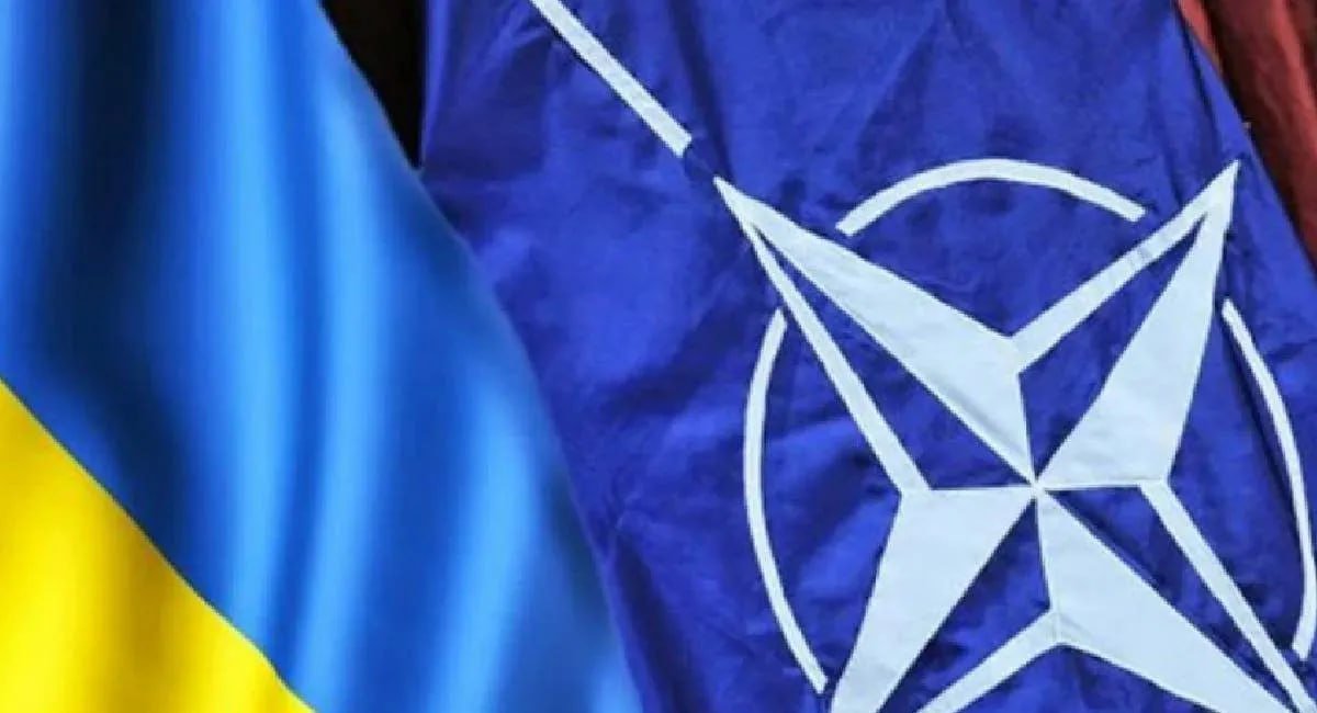 Slava 🇺🇦 tweet media