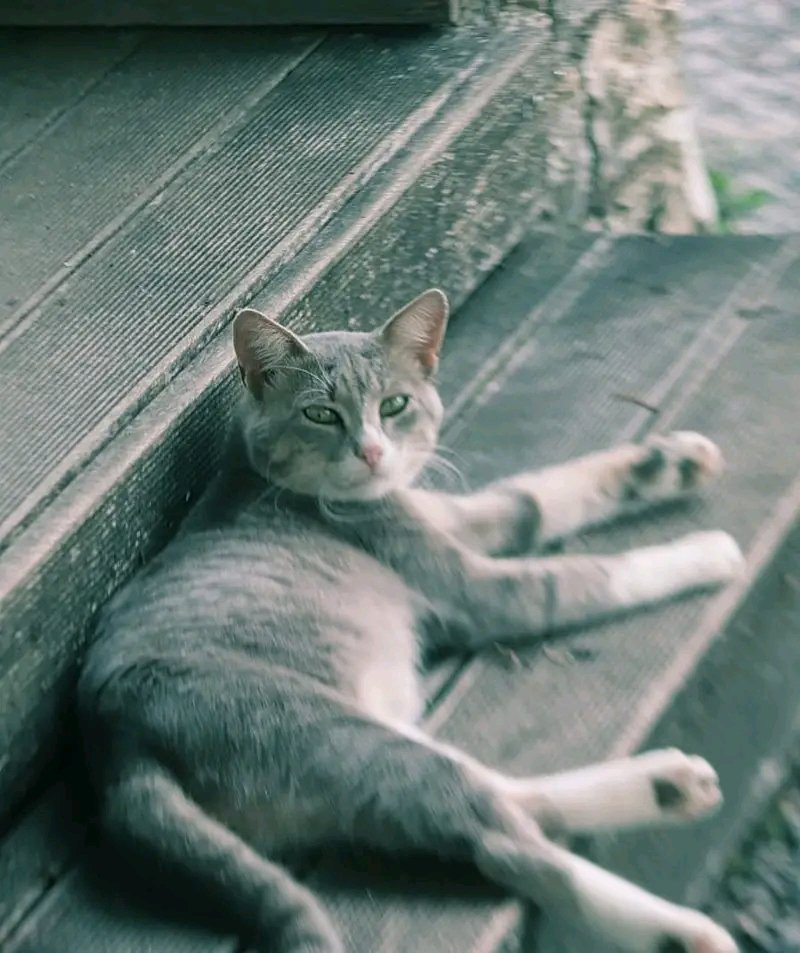 Ελένη 💙 tweet media