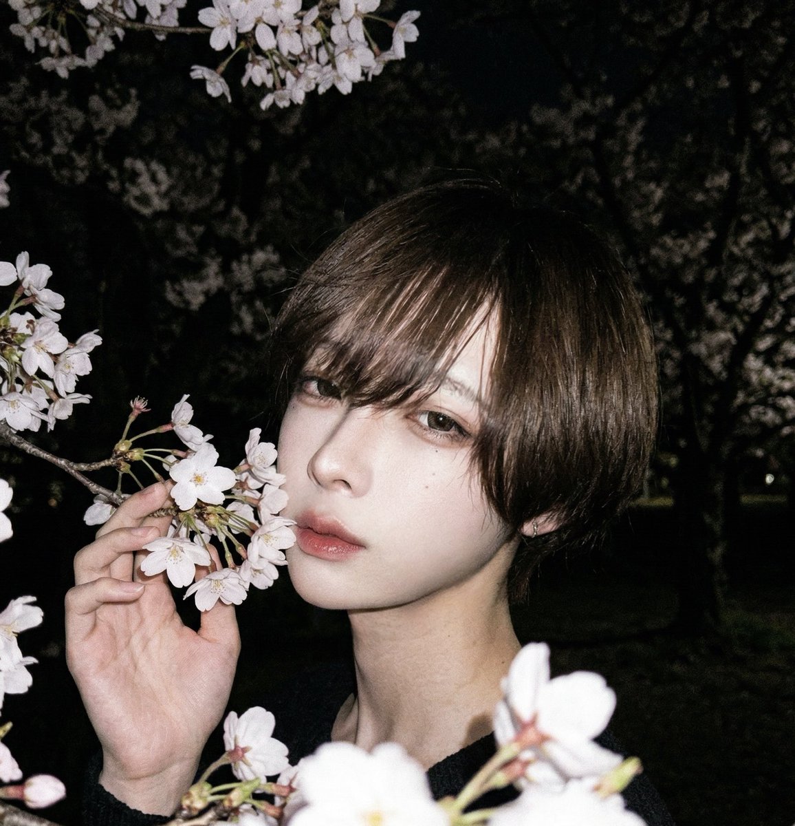 𝖙𝖔𝖑𝖆 tweet media