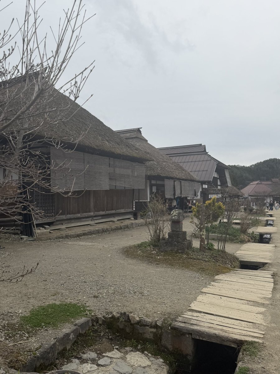 はなぴ🍡ピクミンあんこ部⭐️ tweet media