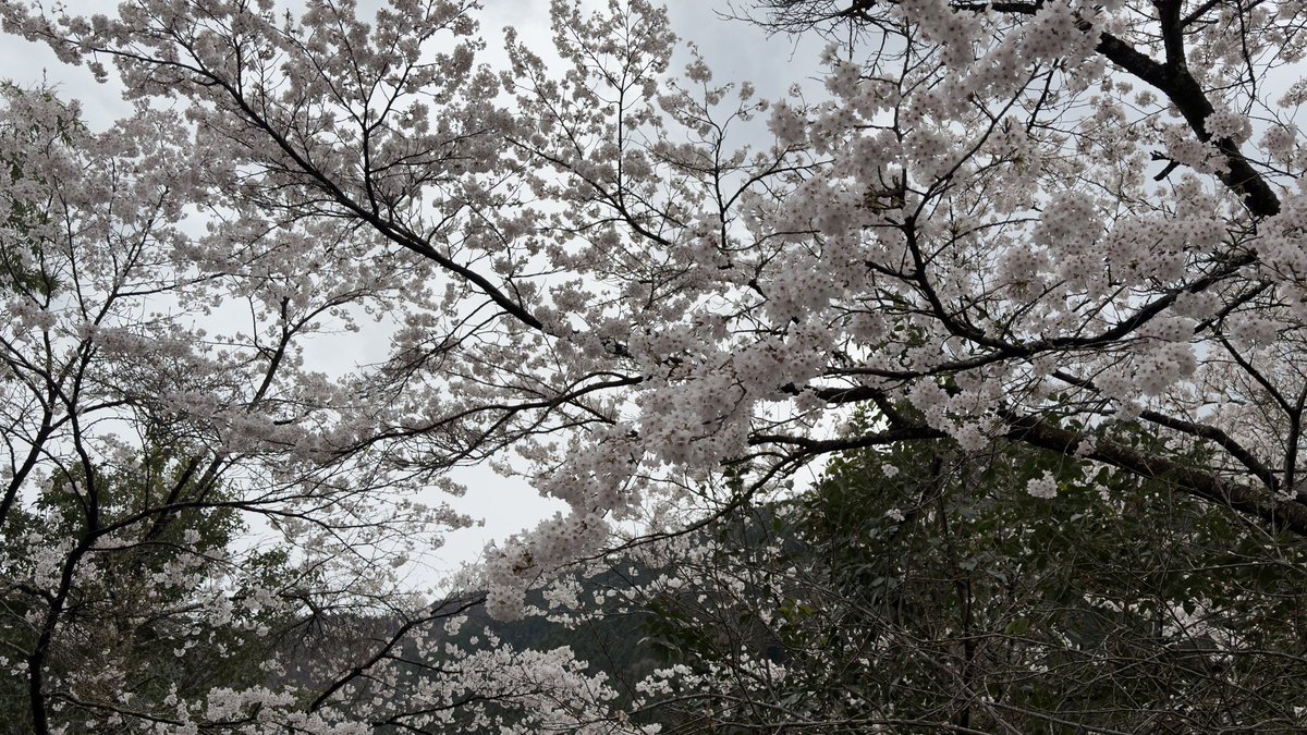 kame@TEAM47 tweet media