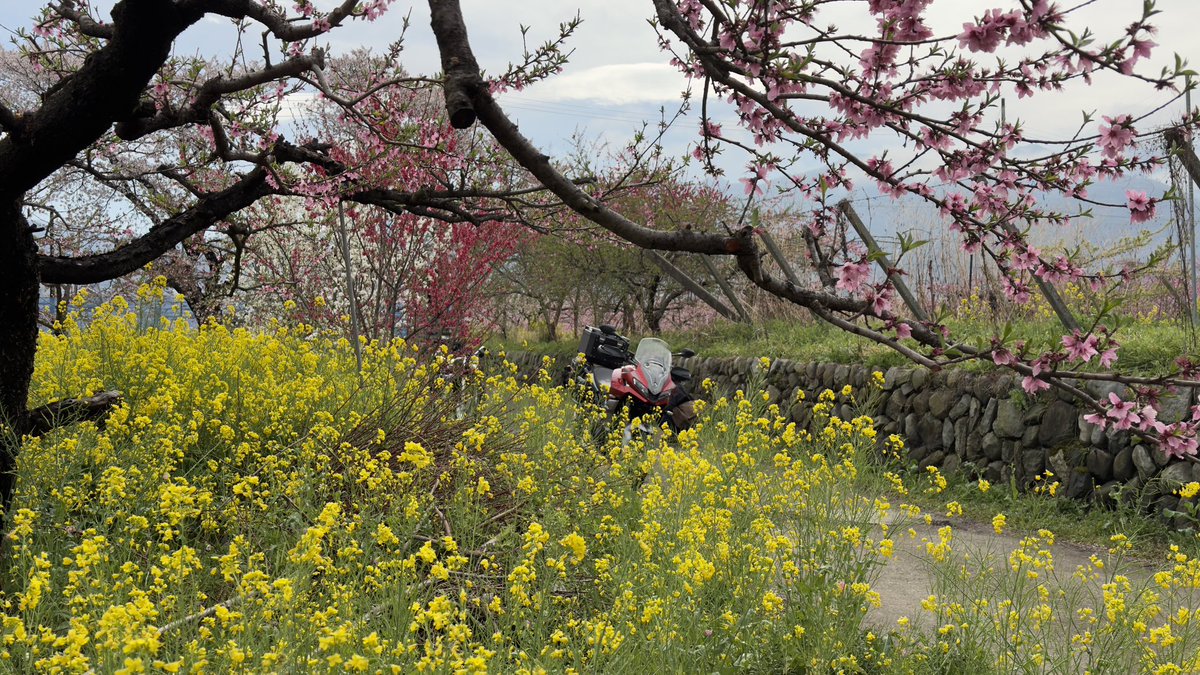 kame@TEAM47 tweet media