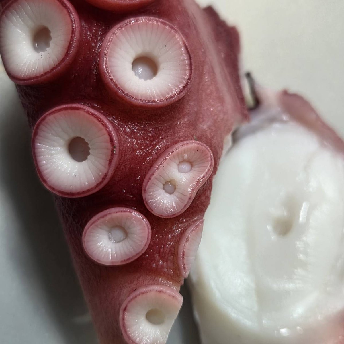 poco-a-poco tweet media