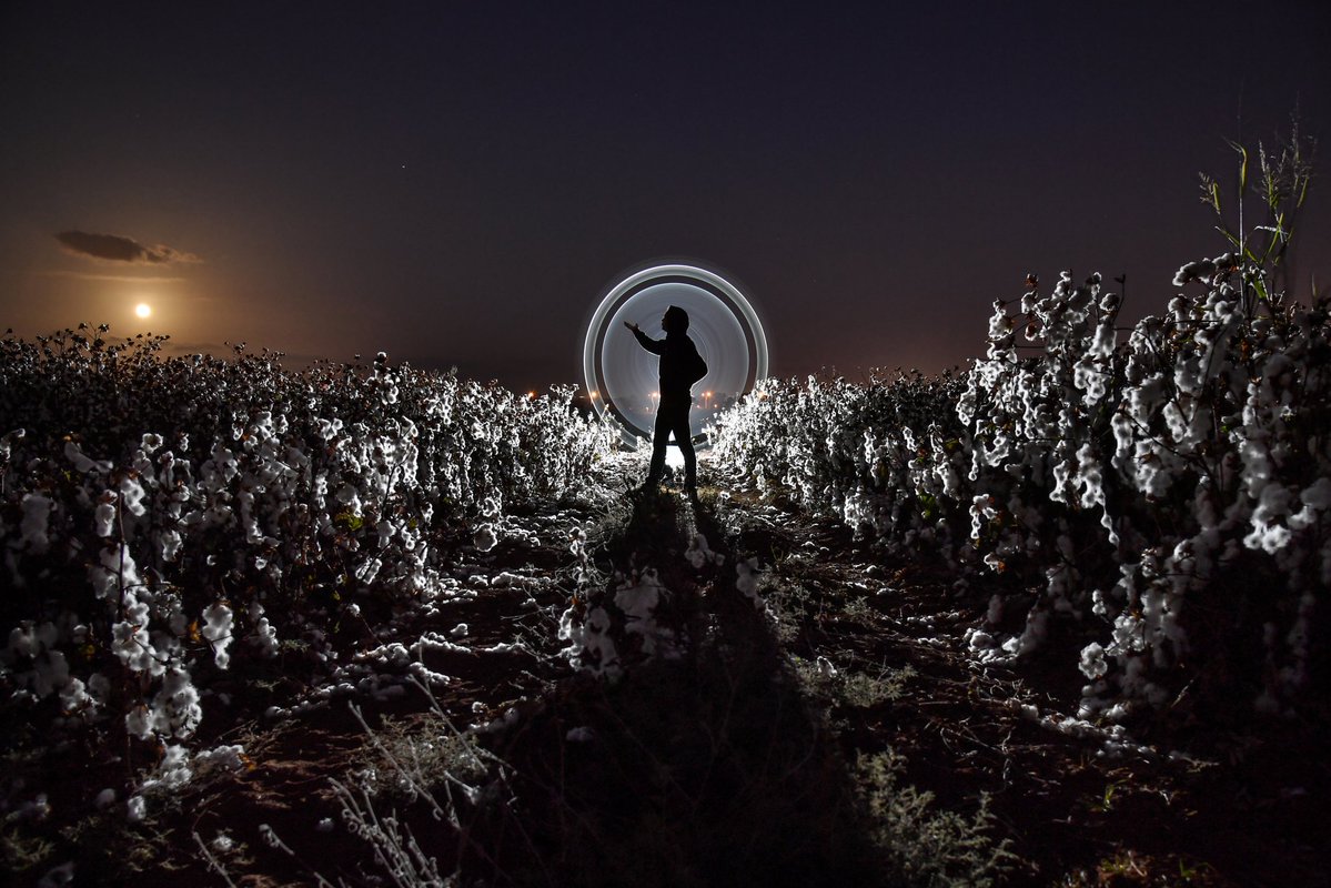 SketchLight tweet media