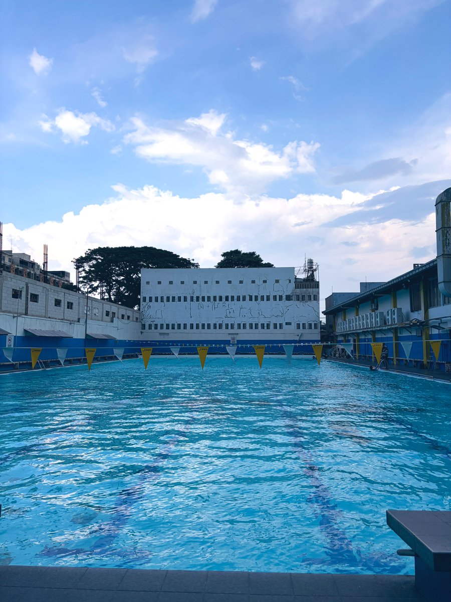 faunkenstein 𓃵 tweet media