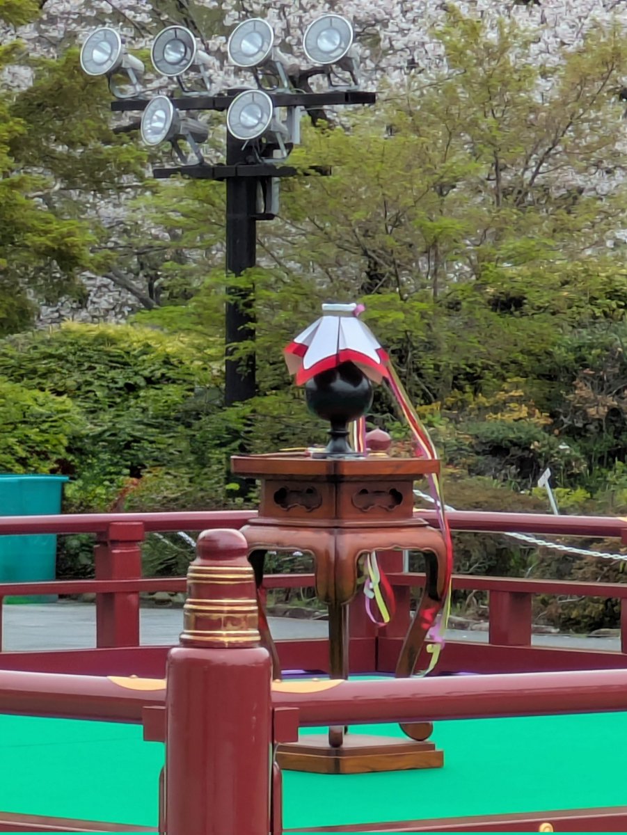 🎵小さな風🎵 tweet media