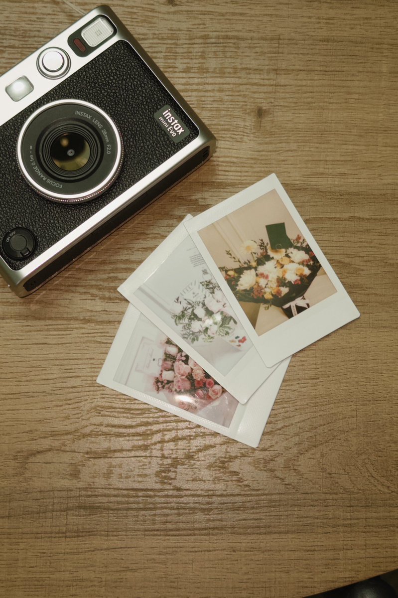 𝜗𝜚 tweet media