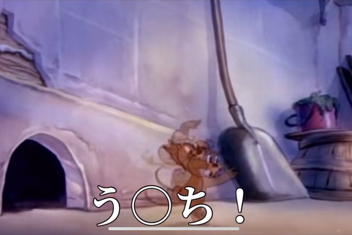 白うさぎ tweet media