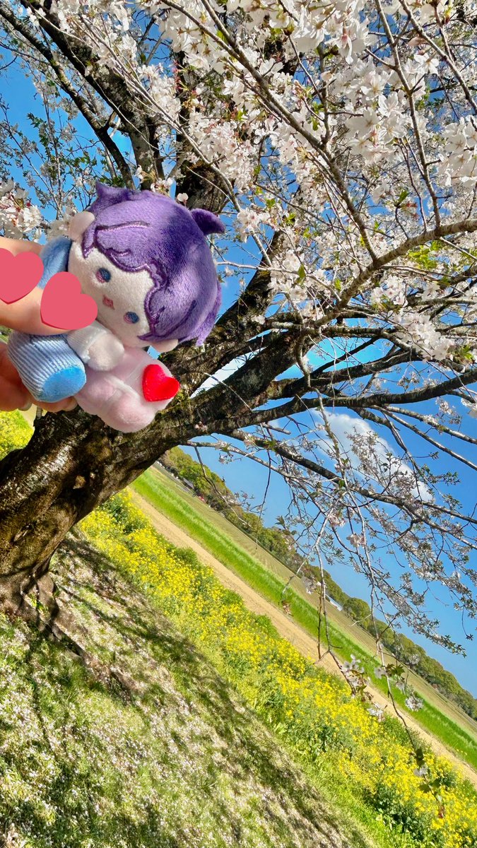 みきまる tweet media