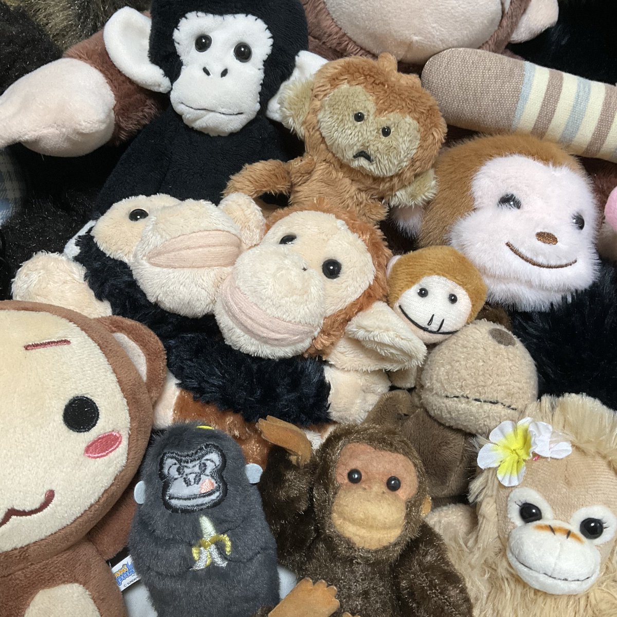 멧도요 tweet media