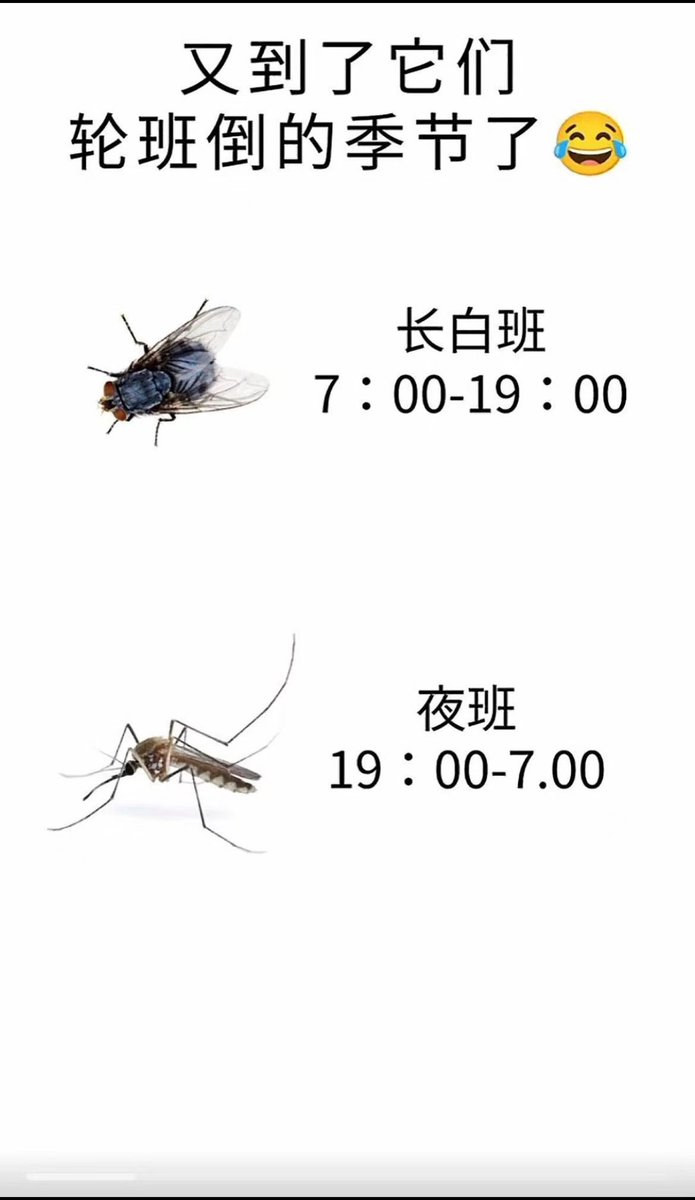 Nice奈斯 tweet media